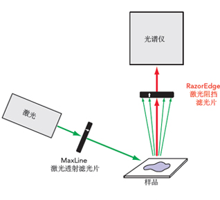 standard raman spectroscopy layout