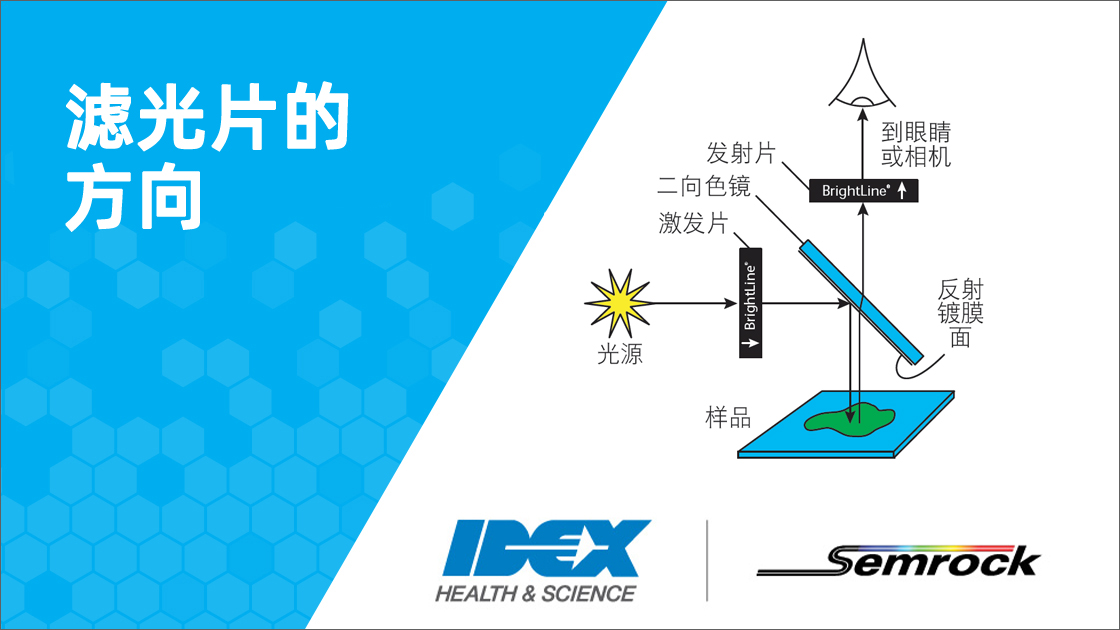Filter Orientation Header